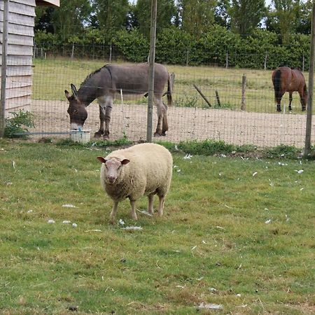 Gite En Campagne Isatis Landemont Exteriér fotografie